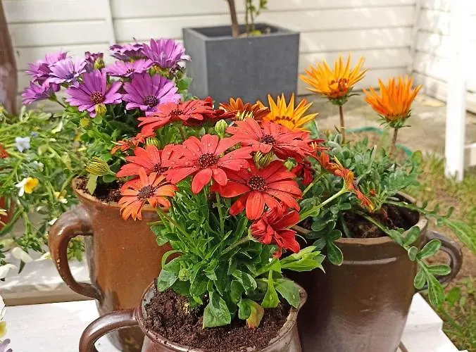 Big Blue - 10 Osobowy Władysławowo