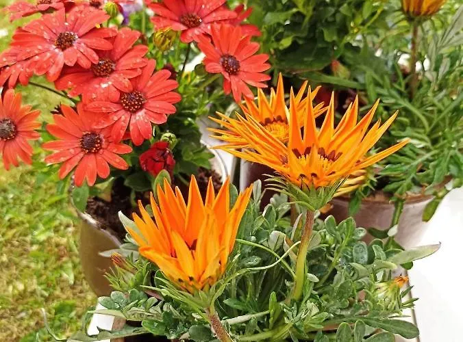 Apartment Big Blue - 10 Osobowy Władysławowo