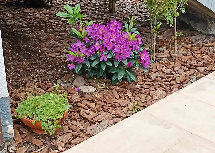 Big Blue - 10 Osobowy * Władysławowo